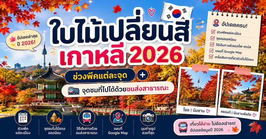ใบไม้เปลี่ยนสีเกาหลี 2026: ช่วงพีคแต่ละจุด + จุดชมที่ไปได้ด้วยขนส่งสาธารณะ