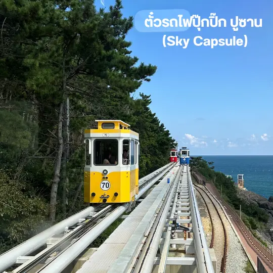 Haeundae BlueLine Park Sky Capsule Beach Train Ticket - KKday