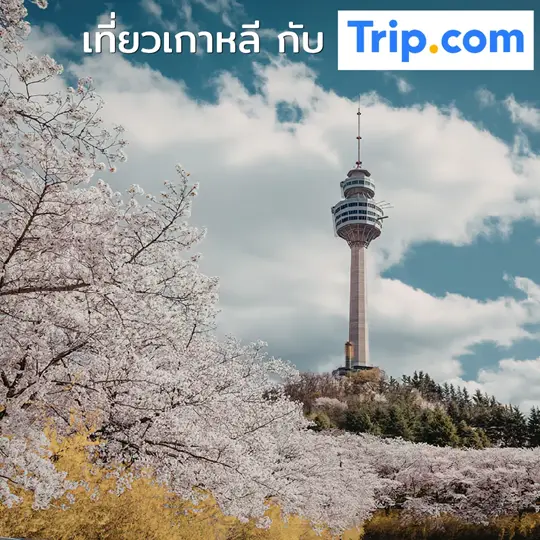 เที่ยวเกาหลีกับ Trip.com
