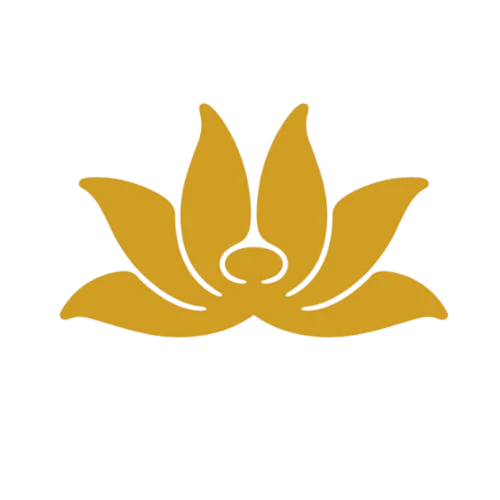 Vietnam Airline